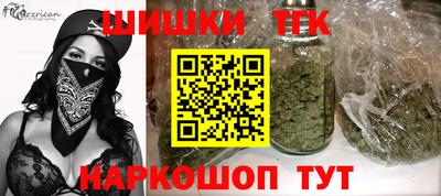 индика Рузаевка