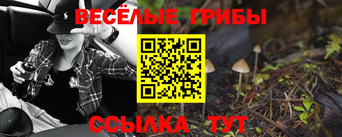 Псилоцибиновые грибы Psilocybe Прокопьевск